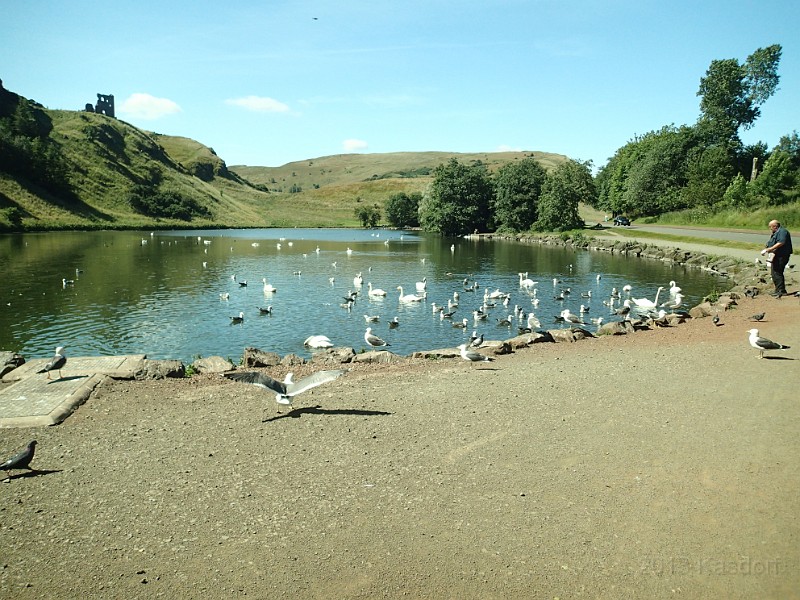 2014 Edinburgh 2014-07-09 090.JPG - .. and a pond with all sorts of waterfowl.